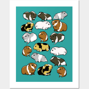 Guinea pig pattern Posters and Art